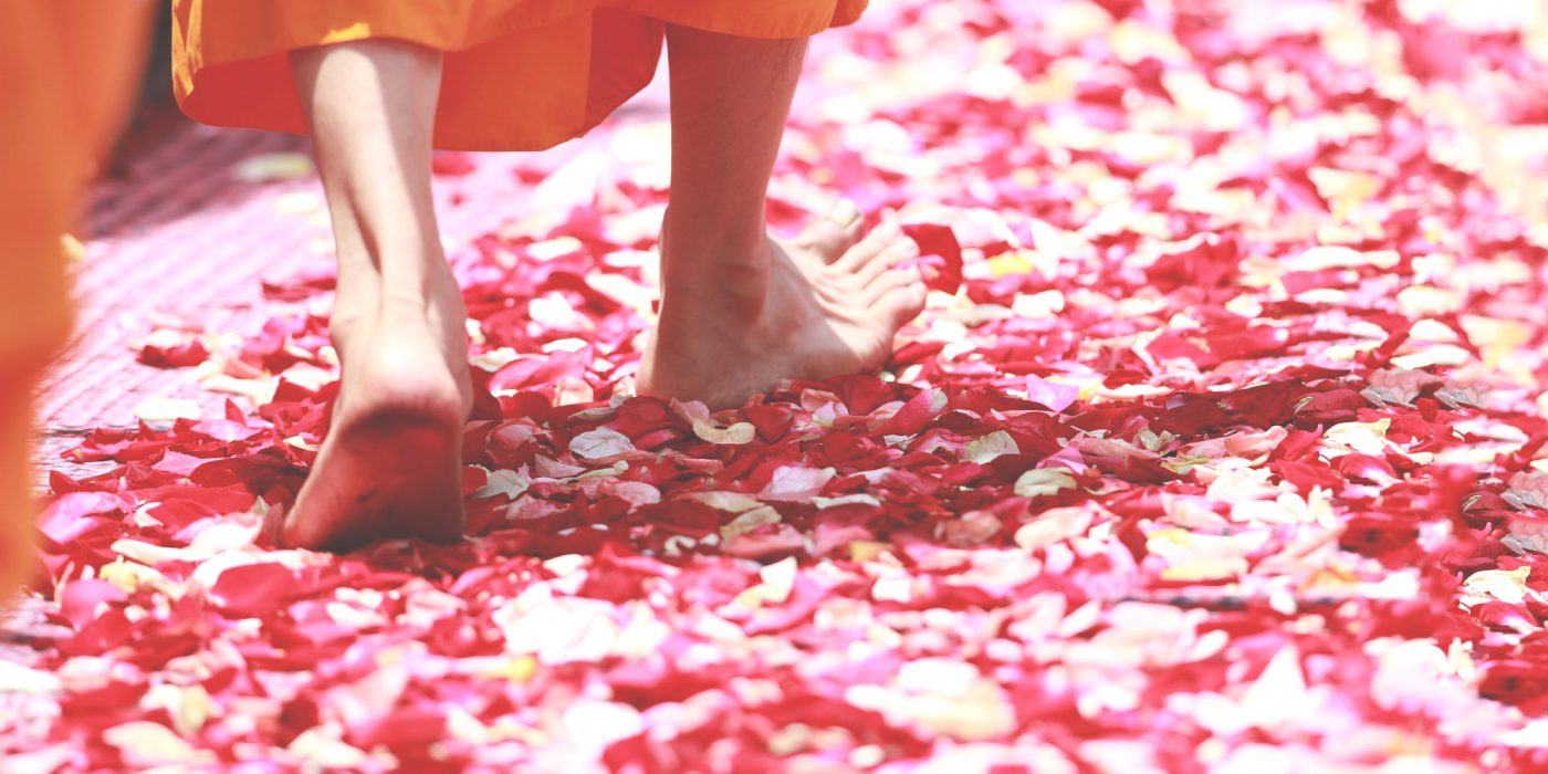 stand your ground, positive possibilities