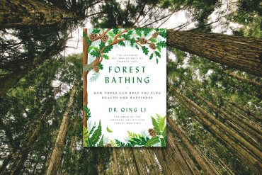 Forest Bathing review, Dr. Qing Li