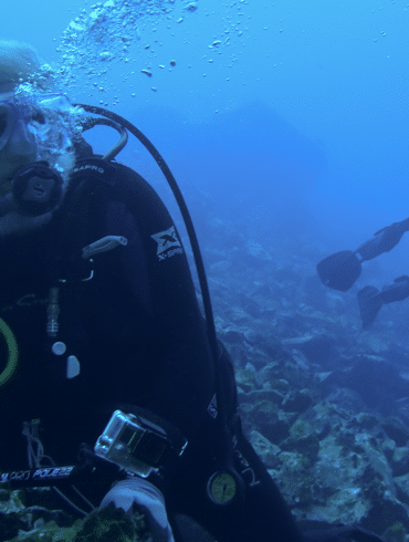 Todd Steiner, turtle island, restoration network, community