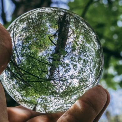 warrens waterless printing