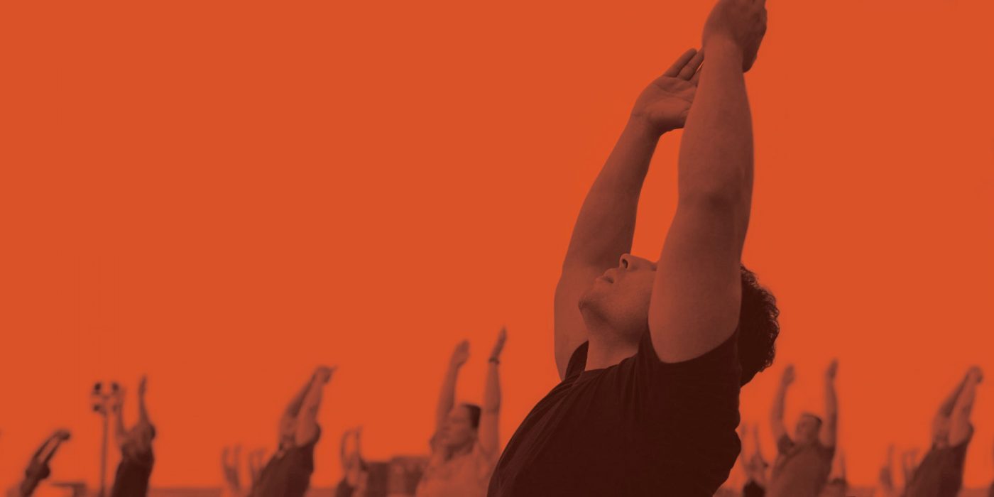 Yogis Unite MAPS, karma yoga