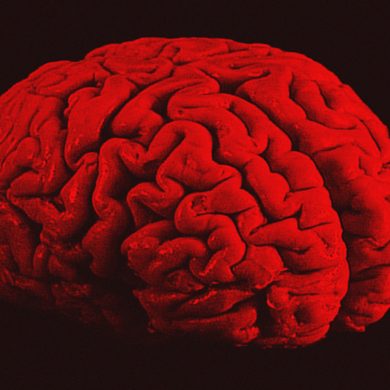 Fix Your Brain, You Can Fix Your Brain, Dr. Tom O'Bryan