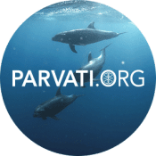 Arctic ocean-Parvati.org