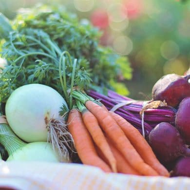 plant based, vegan recipes