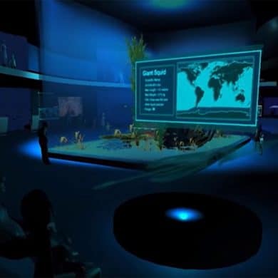 the world ocean observatory