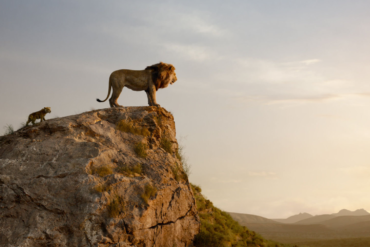 Parvati Magazine for MAPS, the Lion King Review, movie review