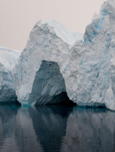 Parvati Magazine for MAPS, humanitarian crisis, global disaster, Arctic sea ice