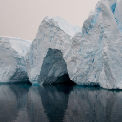Parvati Magazine for MAPS, humanitarian crisis, global disaster, Arctic sea ice