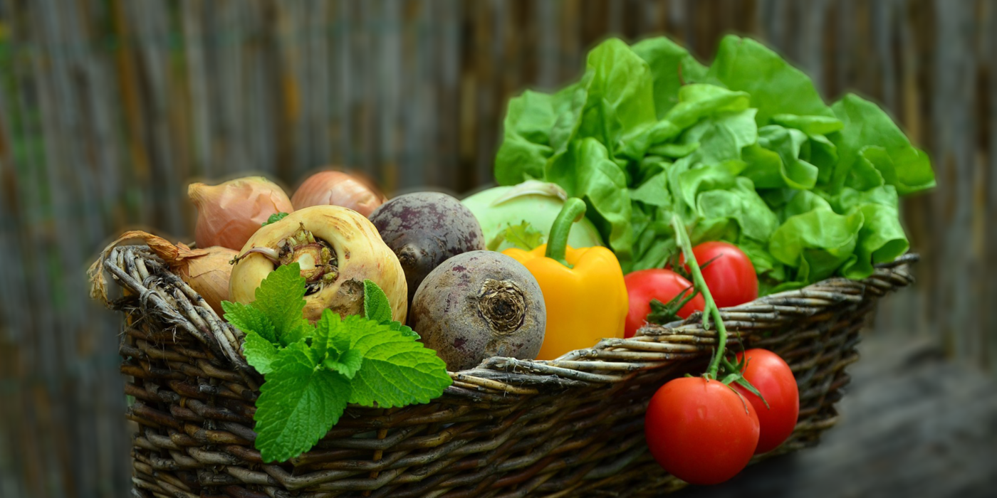 Parvati Magazine for MAPS, treatment for Hashimoto's Disease by Izabella Wentz