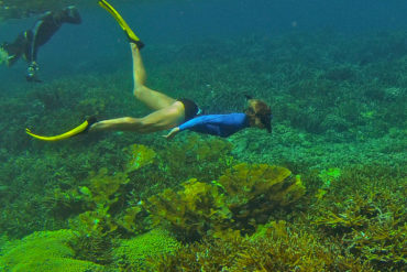 Parvati Magazine for MAPS, Marine Arctic Peace Sanctuary, community, Melanie McField