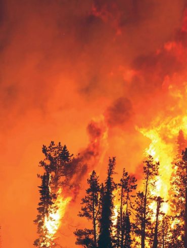 Parvati Magazine for MAPS, Marine Arctic Peace Sanctuary, forest fire