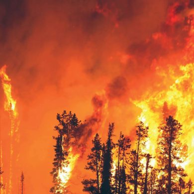 Parvati Magazine for MAPS, Marine Arctic Peace Sanctuary, forest fire