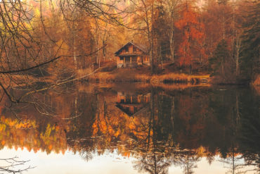 Come Home guided meditation by Parvati, Parvati Magazine, MAPS, Marine Arctic Peace Sanctuary