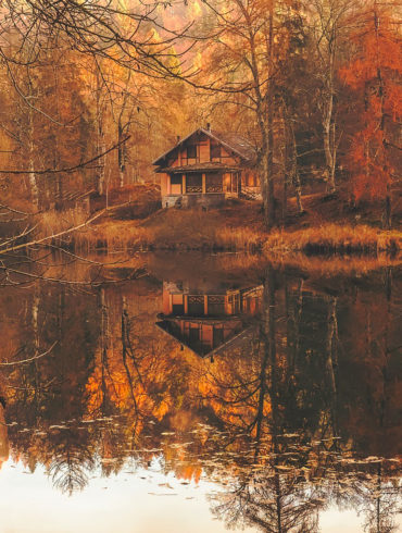 Come Home guided meditation by Parvati, Parvati Magazine, MAPS, Marine Arctic Peace Sanctuary