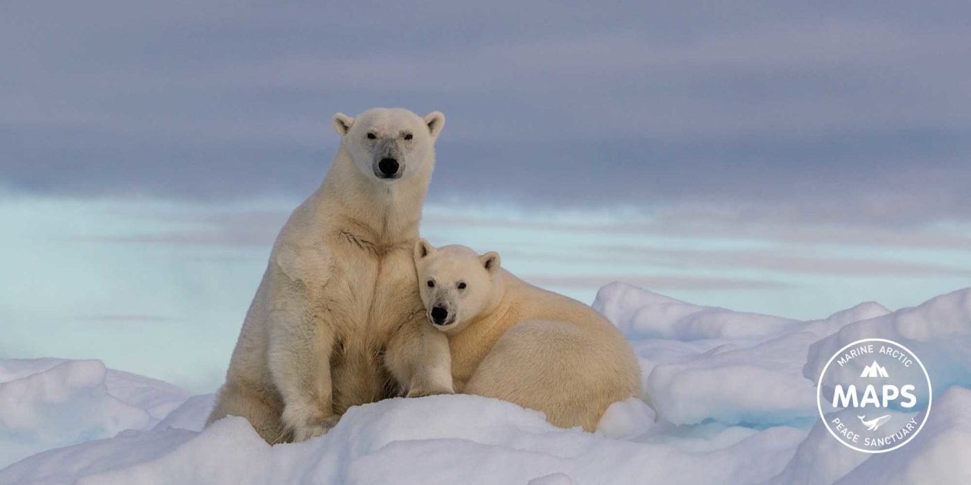 Parvati Magazine, Marine Arctic Peace Sanctuary, Science of MAPS, Arctic ocean ice