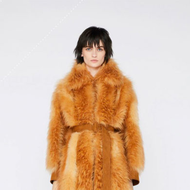 Parvati Magazine, Marine Arctic Peace Sanctuary, Global Fashion Agenda, sustainable fashion