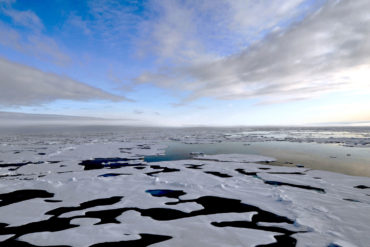 Parvati Magazine, MAPS, Marine Arctic Peace Sanctuary, Albedo Effect