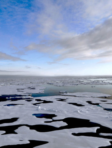 Parvati Magazine, MAPS, Marine Arctic Peace Sanctuary, Albedo Effect