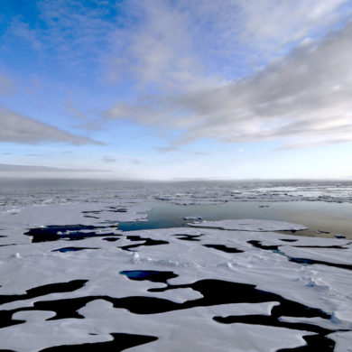 Parvati Magazine, MAPS, Marine Arctic Peace Sanctuary, Albedo Effect