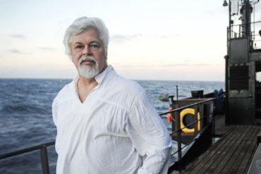 Parvati Magazine, MAPS, Marine Arctic Peace Sanctuary, Sea Shepherd, Captain Paul Watson