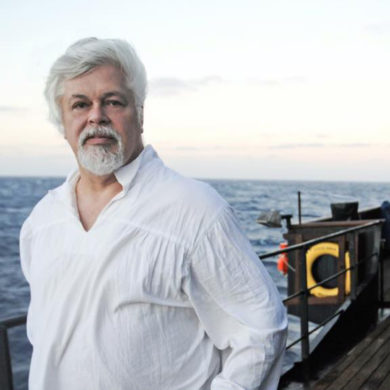 Parvati Magazine, MAPS, Marine Arctic Peace Sanctuary, Sea Shepherd, Captain Paul Watson