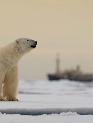 Parvati Magazine, MAPS, Marine Arctic Peace Sanctuary, Law of the Sea,MAPS News
