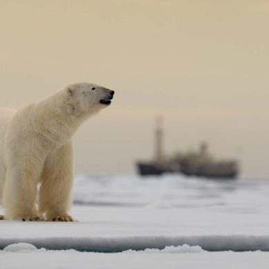 Parvati Magazine, MAPS, Marine Arctic Peace Sanctuary, Law of the Sea,MAPS News